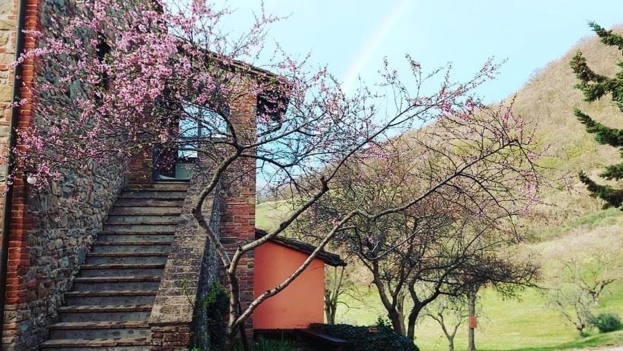 Agriturismo Paradiso41 Assisi Eksteriør bilde
