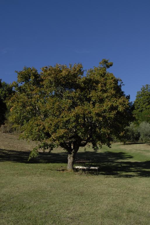 Agriturismo Paradiso41 Assisi Eksteriør bilde