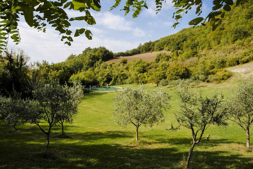 Agriturismo Paradiso41 Assisi Eksteriør bilde